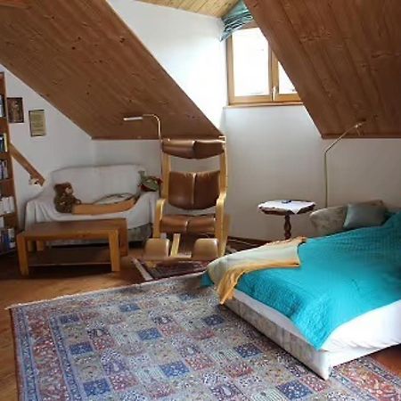 Ferienwohnung Abelein 파사우 외부 사진